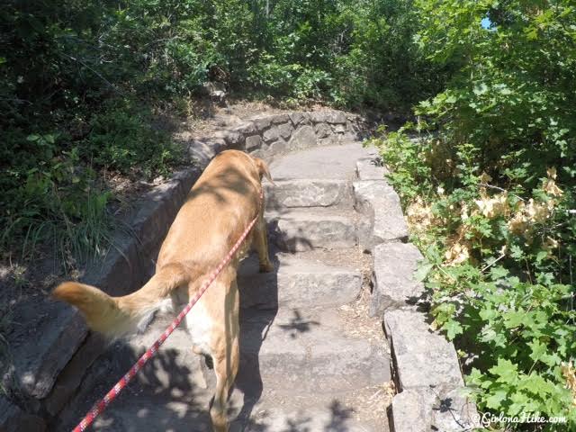 Visiting Cascade Springs, American Fork Canyon