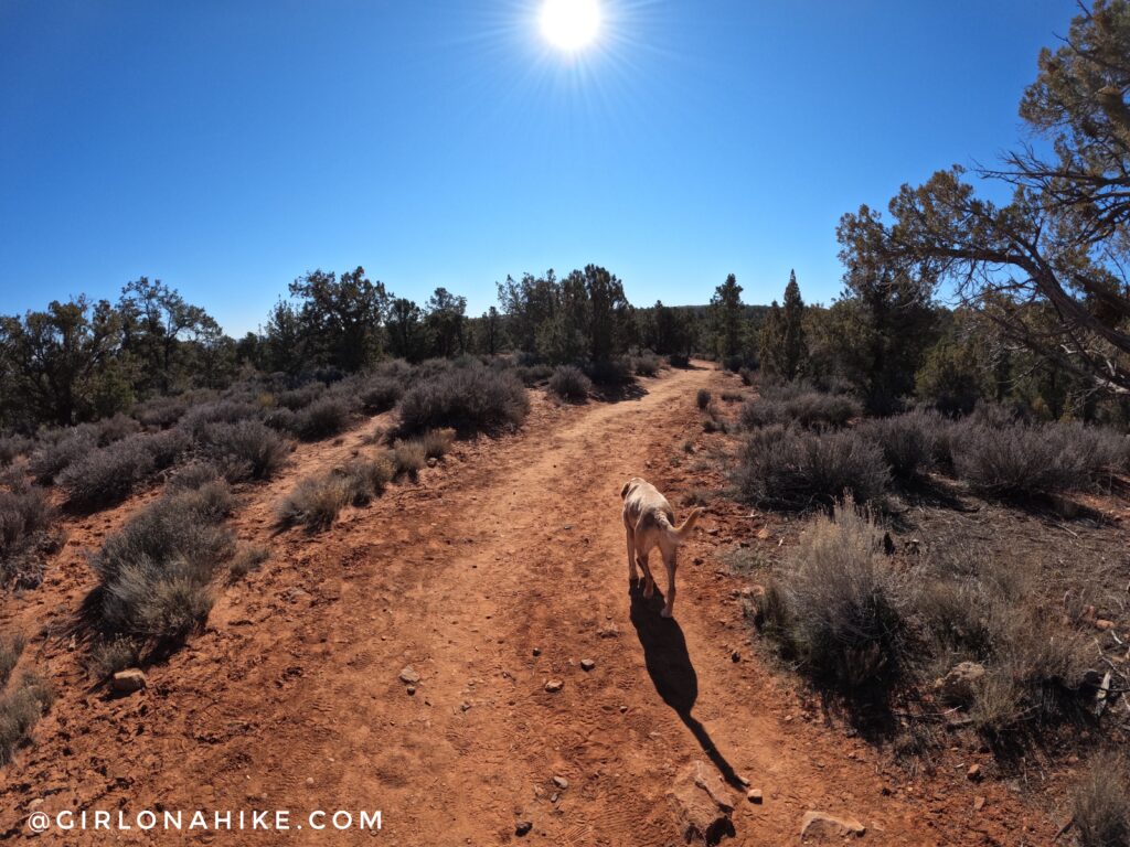 Exploring the Yant Flat Cliffs