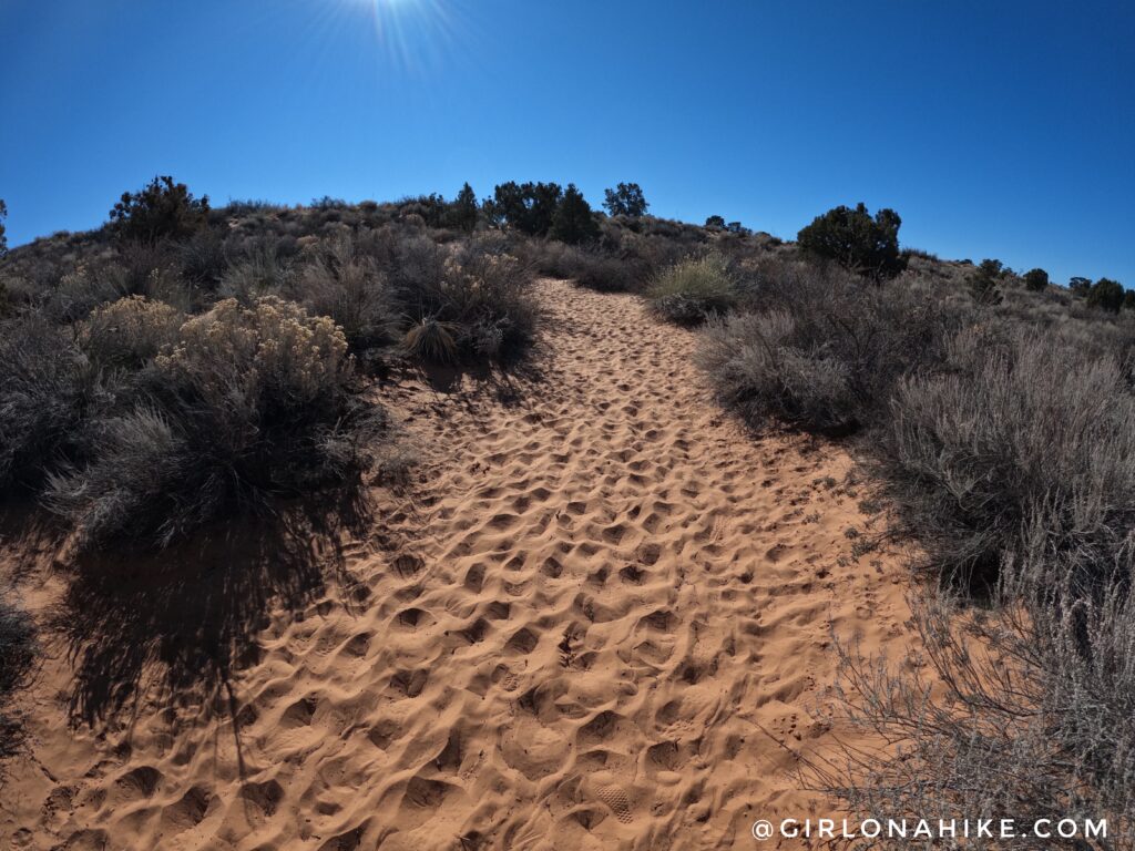 Exploring the Yant Flat Cliffs