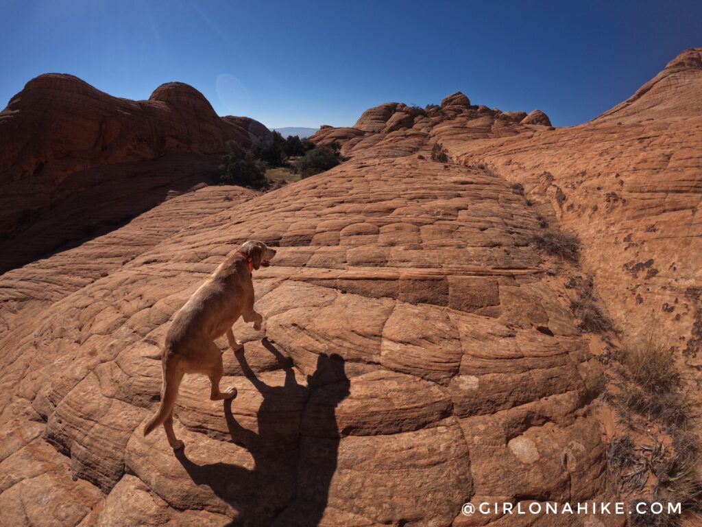 Exploring the Yant Flat Cliffs