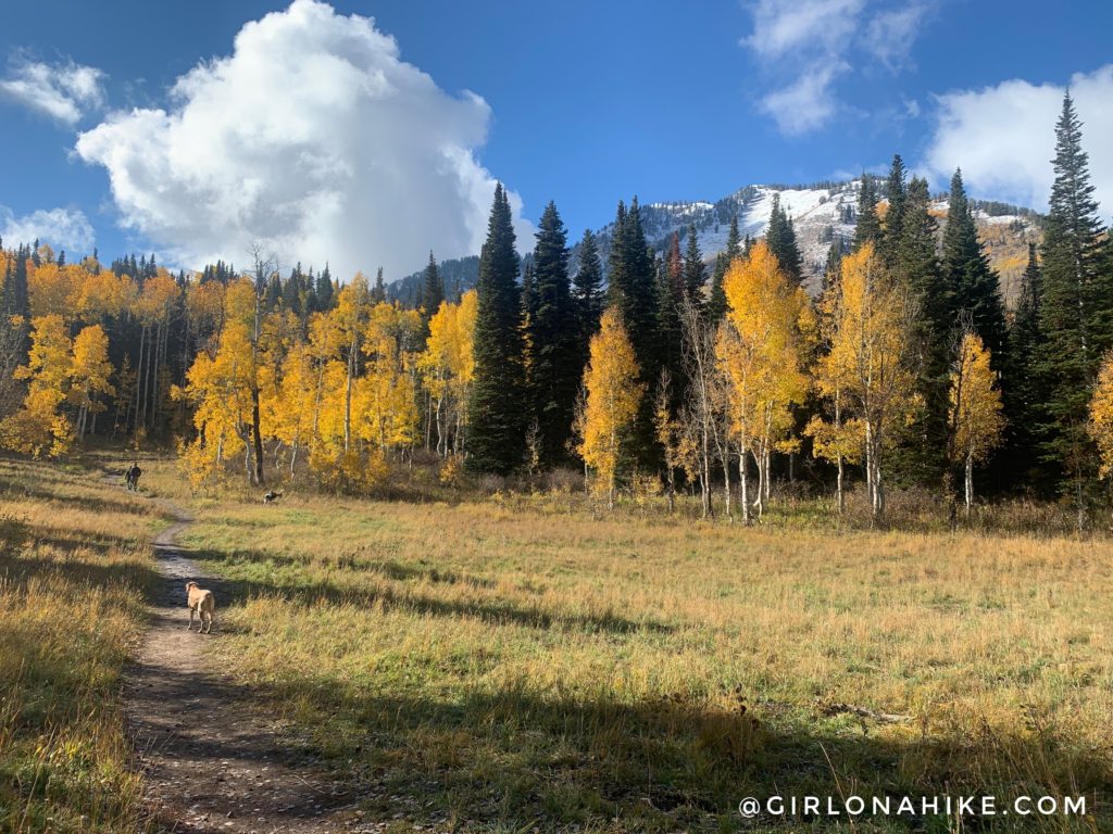 Hiking to the Primrose Overlook, American Fork Canyon