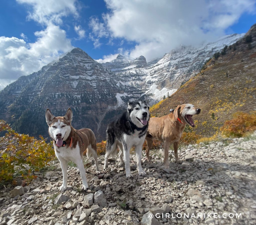 Hiking to the Primrose Overlook, American Fork Canyon