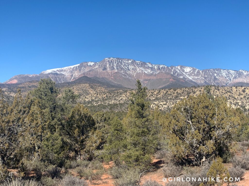 Exploring the Yant Flat Cliffs, hike candy cliffs