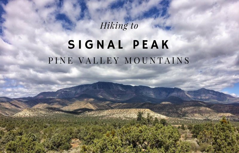 Hiking to Signal Peak, Pine Valley Mountains