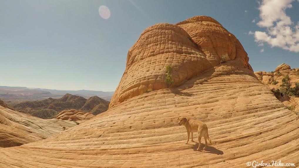 Exploring the Yant Flat Cliffs, St. George, Utah