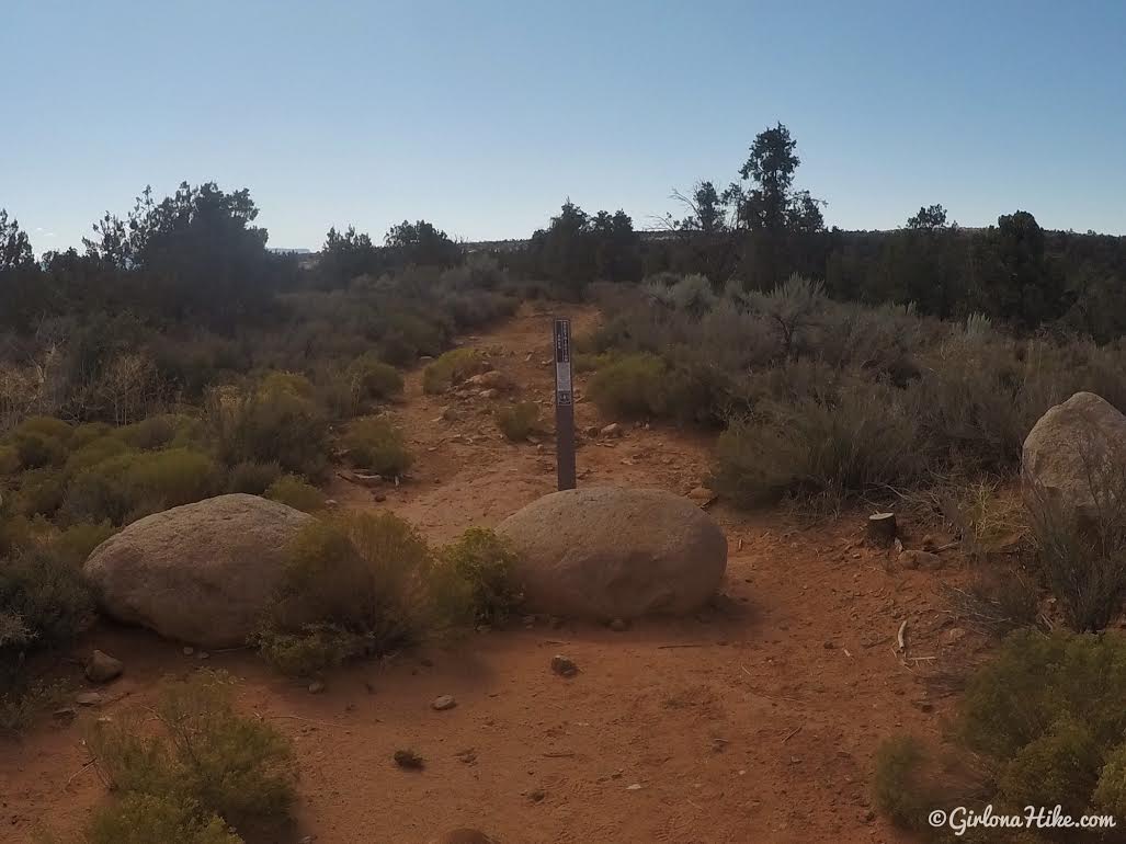 Exploring the Yant Flat Cliffs, St. George, Utah