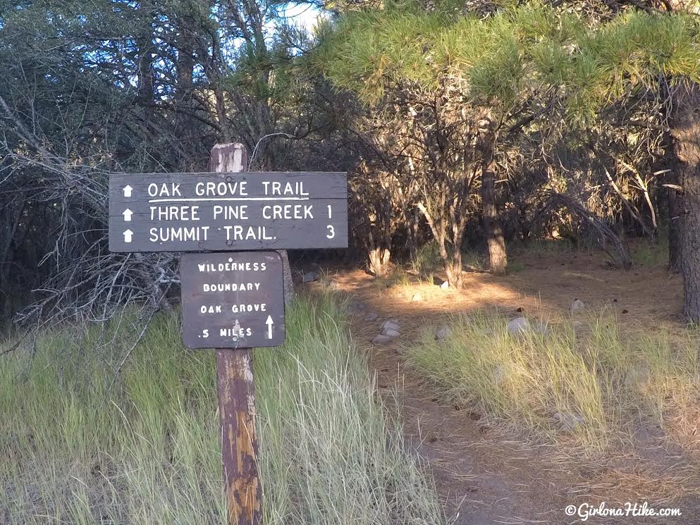 Hiking to Signal Peak, Pine Valley Mountains, Washington County High Point