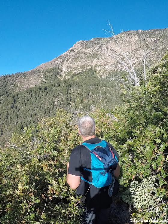 Hiking to Signal Peak, Pine Valley Mountains, Washington County High Point