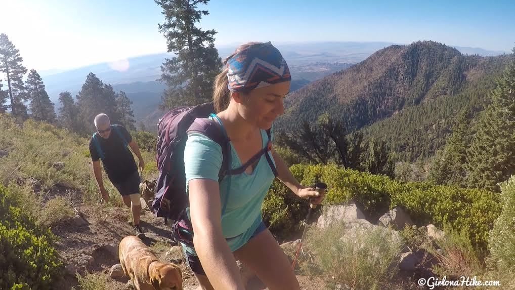 Hiking to Signal Peak, Pine Valley Mountains, Washington County High Point