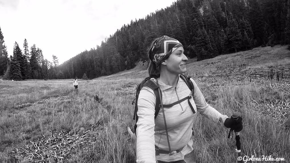 Hiking to Signal Peak, Pine Valley Mountains, Washington County High Point