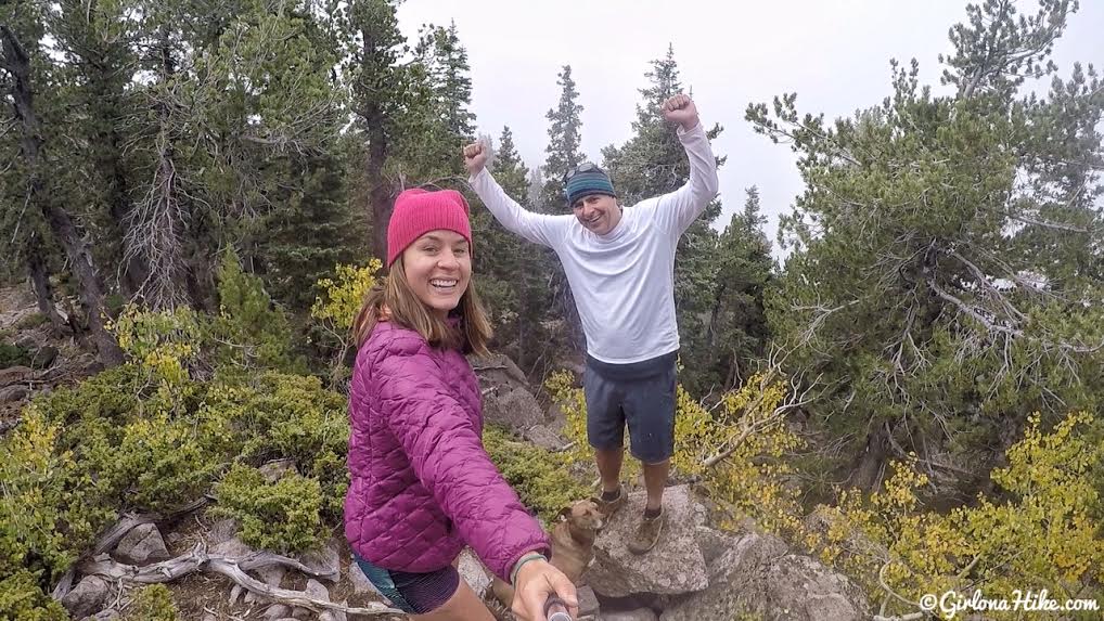 Hiking to Signal Peak, Pine Valley Mountains, Washington County High Point