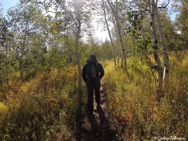 Hiking to the Primrose Overlook, American Fork Canyon