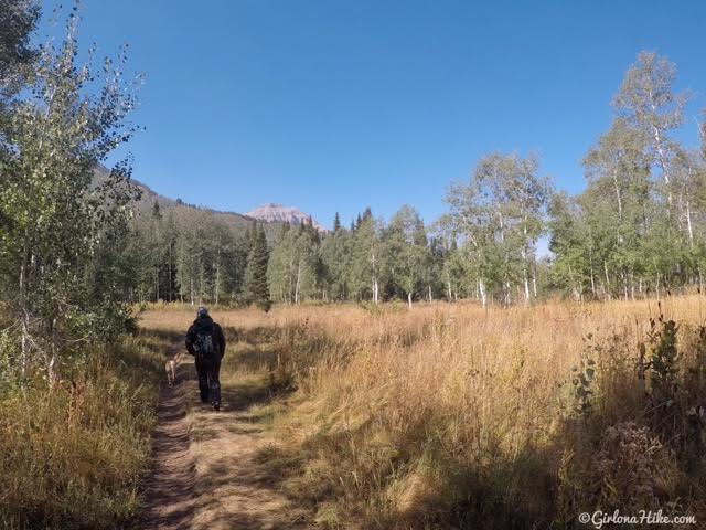 Hiking to the Primrose Overlook, American Fork Canyon