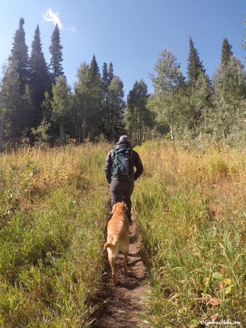 Hiking to the Primrose Overlook, American Fork Canyon