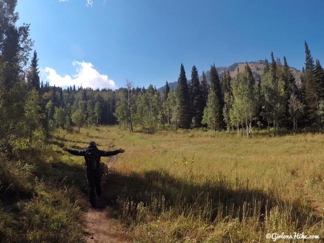 Hiking the Horse Flat Trail, American Fork Canyon