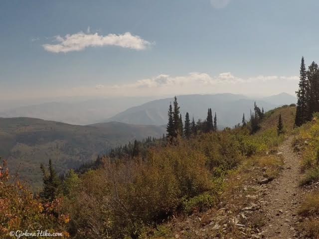 Hiking the Horse Flat Trail, American Fork Canyon