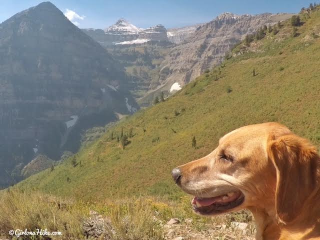 Hiking the Horse Flat Trail, American Fork Canyon