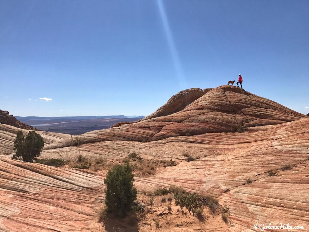 Exploring the Yant Flat Cliffs, St. George, Utah