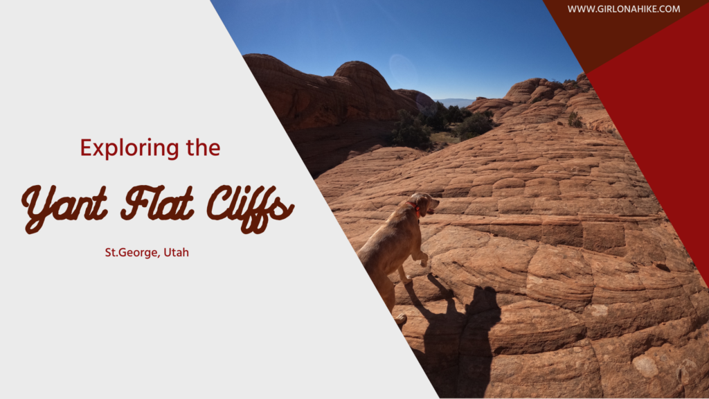 Exploring the Yant Flat Cliffs, hike candy cliffs