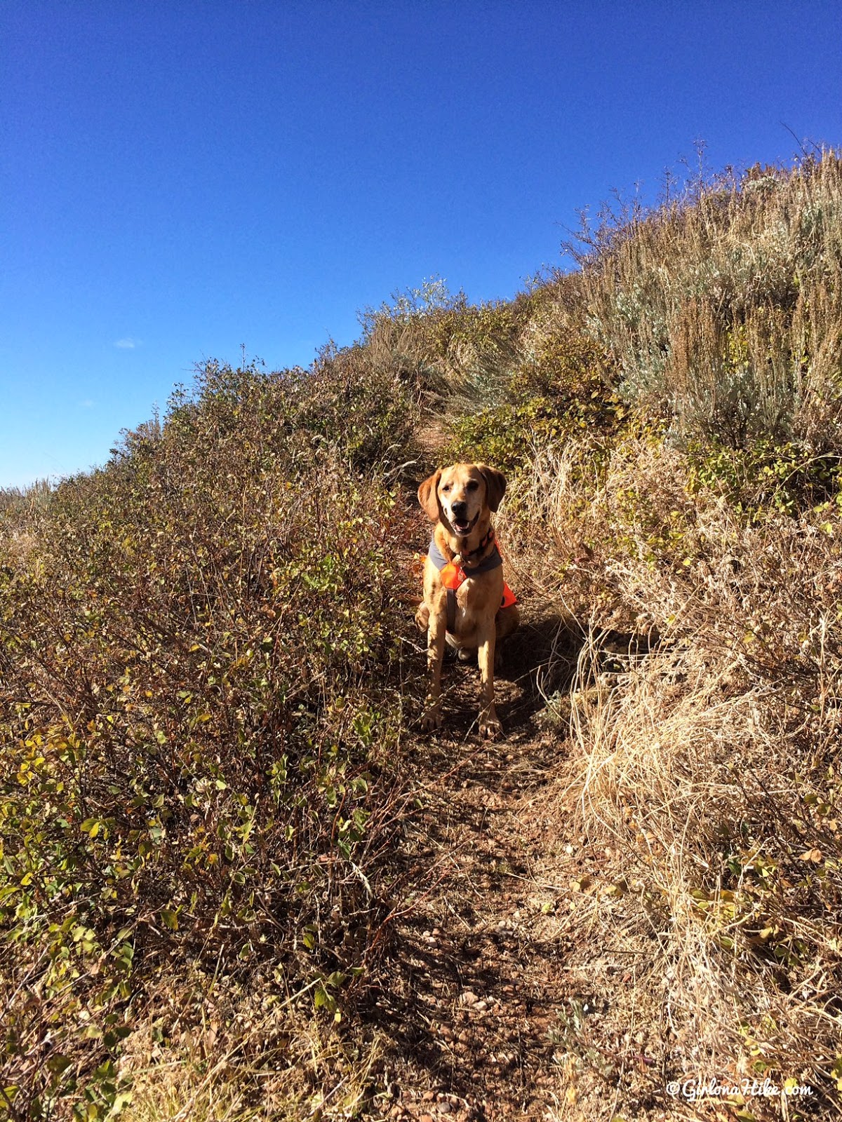 Hiking to Grandview Peak from Killyon's Canyon