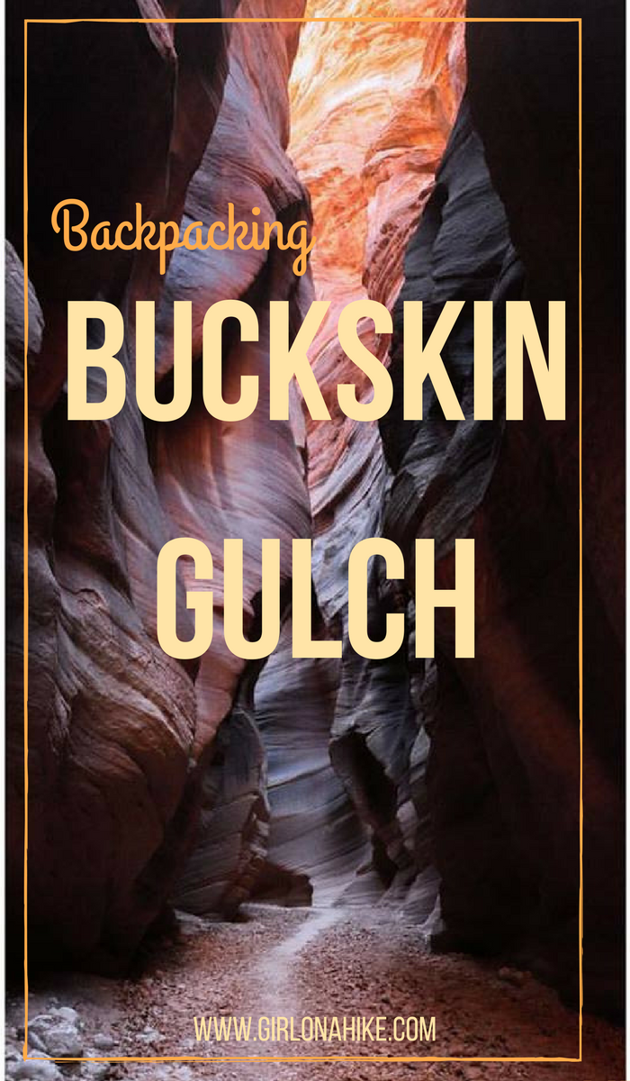 Backpacking Buckskin Gulch - Wire Pass to White House, Backpacking Buckskin Gulch with Dogs