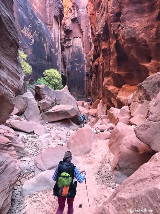 Backpacking Buckskin Gulch - Wire Pass to White House, Backpacking Buckskin Gulch with Dogs