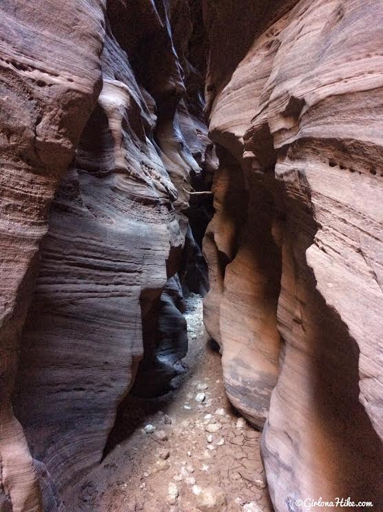 Backpacking Buckskin Gulch - Wire Pass to White House, Backpacking Buckskin Gulch with Dogs