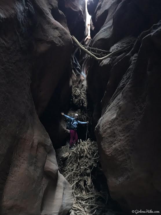 Backpacking Buckskin Gulch - Wire Pass to White House, Backpacking Buckskin Gulch with Dogs