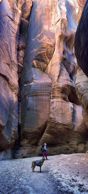 Backpacking Buckskin Gulch - Wire Pass to White House, Backpacking Buckskin Gulch with Dogs