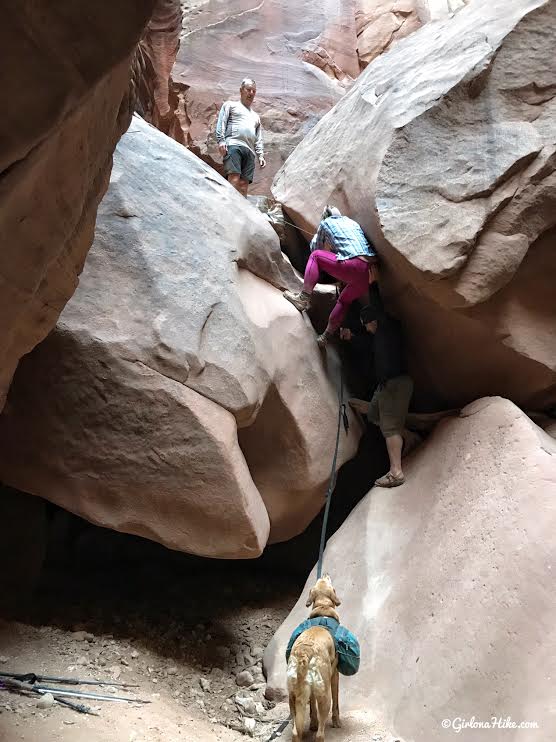 Backpacking Buckskin Gulch - Wire Pass to White House, Backpacking Buckskin Gulch with Dogs