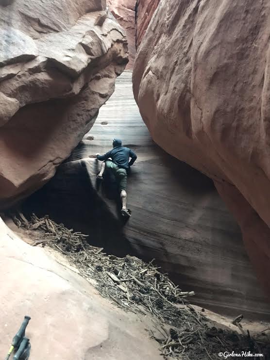 Backpacking Buckskin Gulch - Wire Pass to White House, Backpacking Buckskin Gulch with Dogs