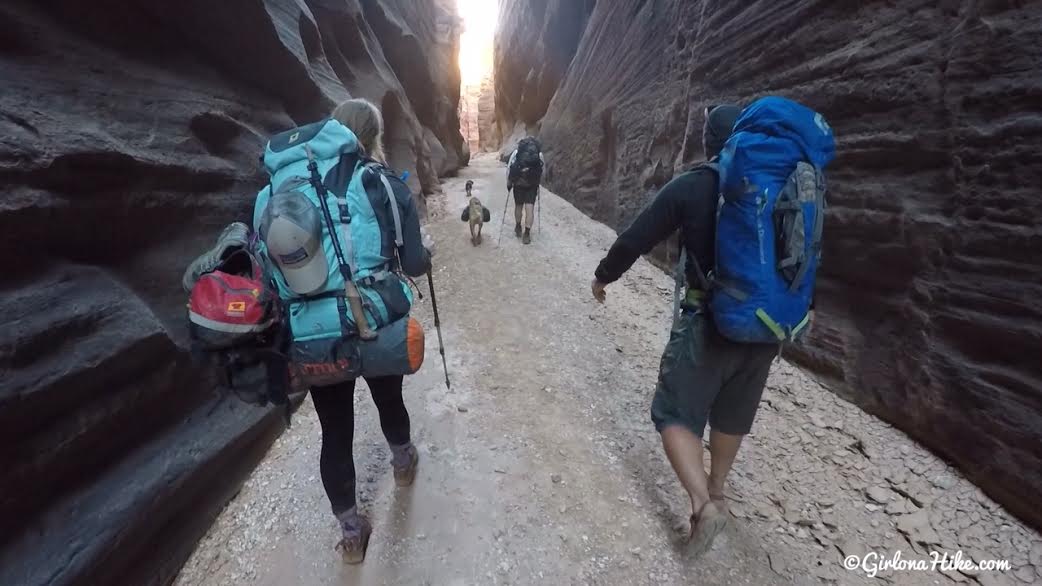 Backpacking Buckskin Gulch - Wire Pass to White House, Backpacking Buckskin Gulch with Dogs