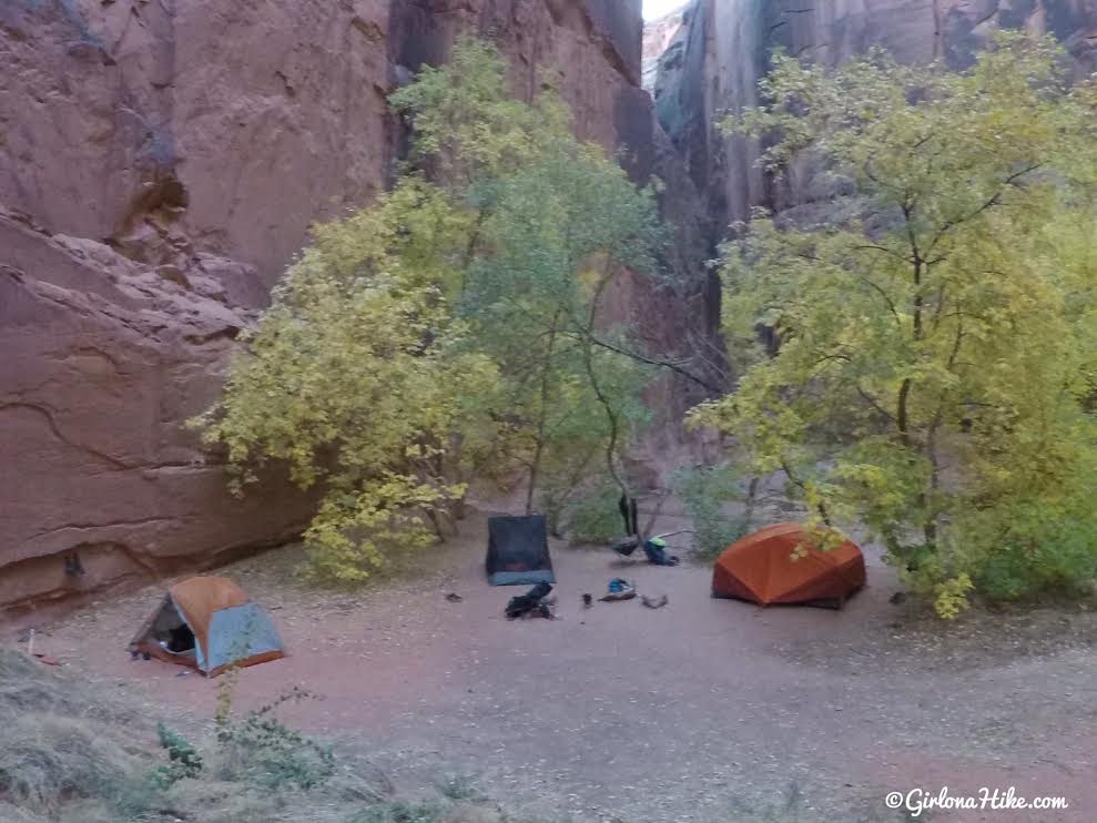 Backpacking Buckskin Gulch - Wire Pass to White House, Backpacking Buckskin Gulch with Dogs