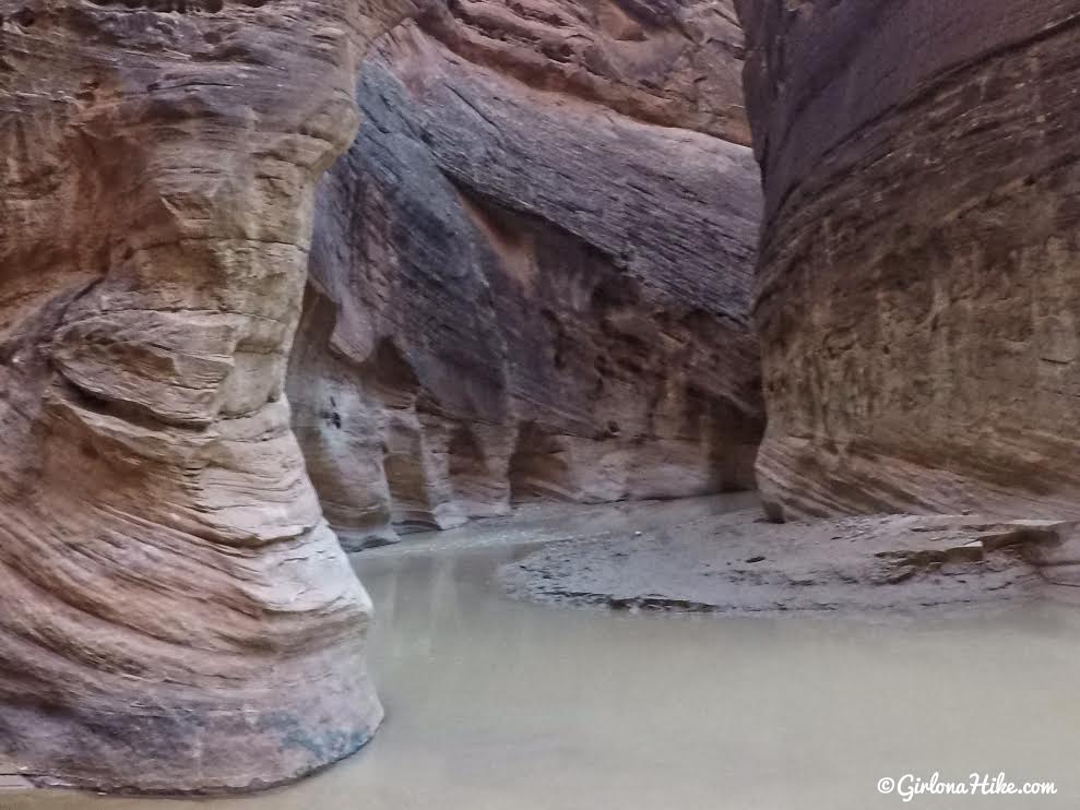 Backpacking Buckskin Gulch - Wire Pass to White House, Backpacking Buckskin Gulch with Dogs