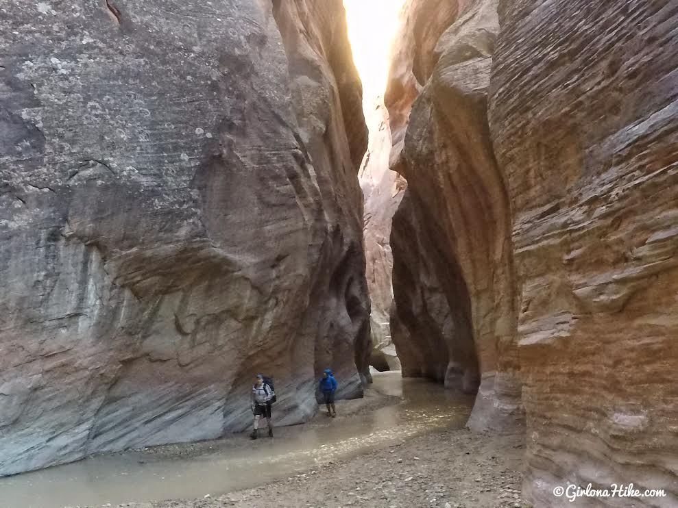 Backpacking Buckskin Gulch - Wire Pass to White House, Backpacking Buckskin Gulch with Dogs