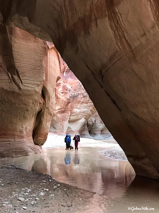 Backpacking Buckskin Gulch - Wire Pass to White House, Backpacking Buckskin Gulch with Dogs