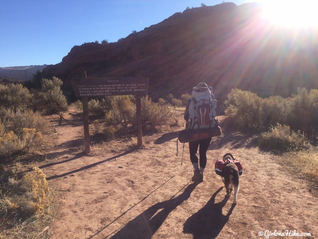 Backpacking Buckskin Gulch - Wire Pass to White House, Backpacking Buckskin Gulch with Dogs