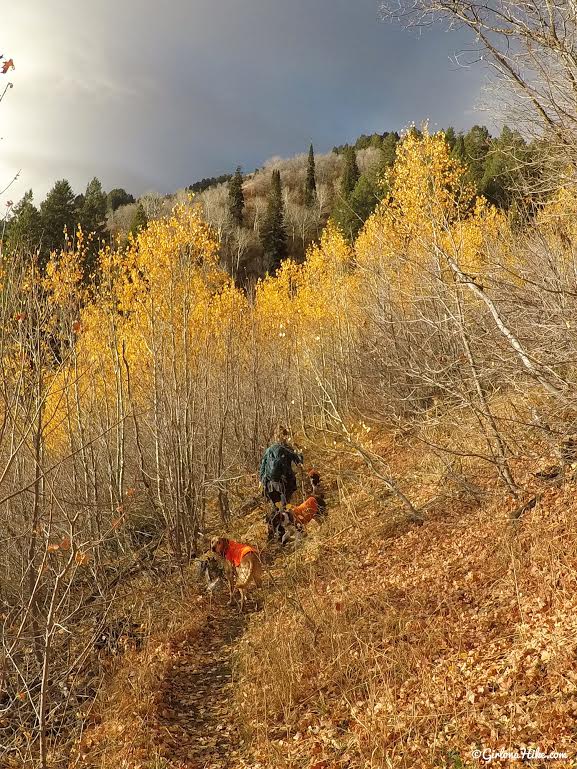 Hiking to the Wellsville Cone, Wellsville Mountains, Utah