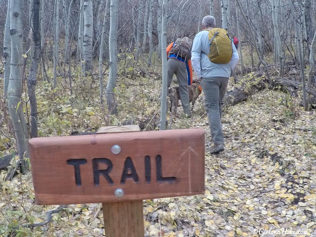 Hiking to the Wellsville Cone, Wellsville Mountains, Utah