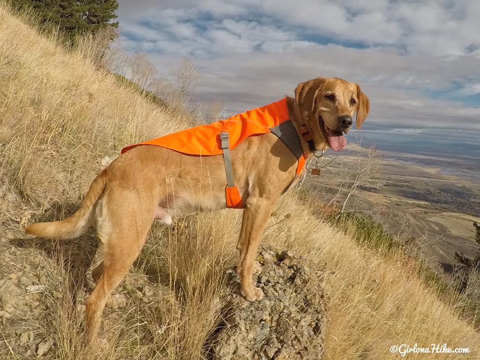 Hiking to the Wellsville Cone, Wellsville Mountains, Utah