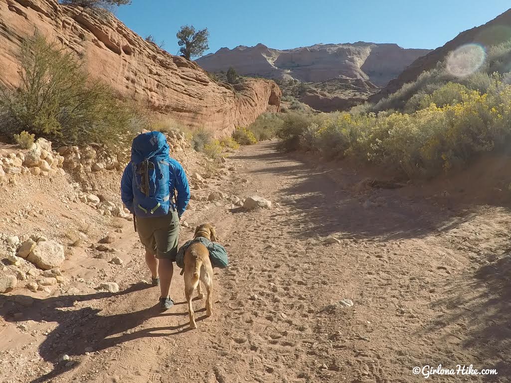 Backpacking Buckskin Gulch - Wire Pass to White House, Backpacking Buckskin Gulch with Dogs