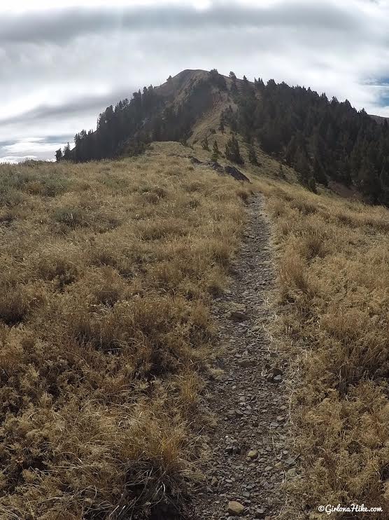 Hiking to the Wellsville Cone, Wellsville Mountains, Utah