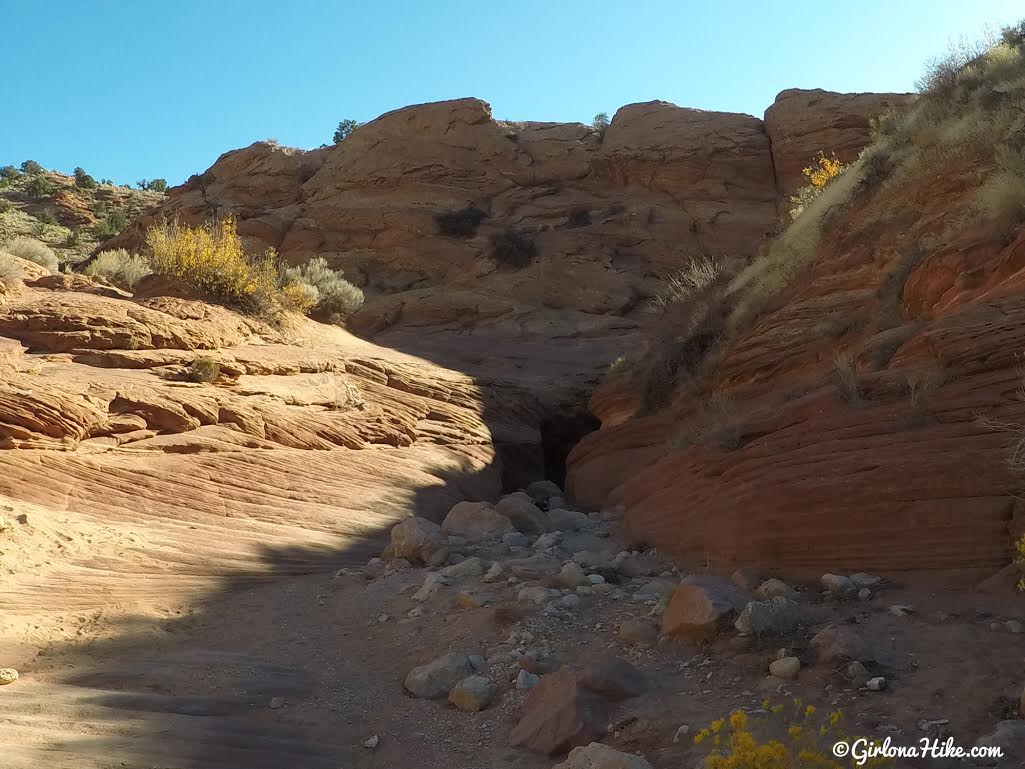 Backpacking Buckskin Gulch - Wire Pass to White House, Backpacking Buckskin Gulch with Dogs