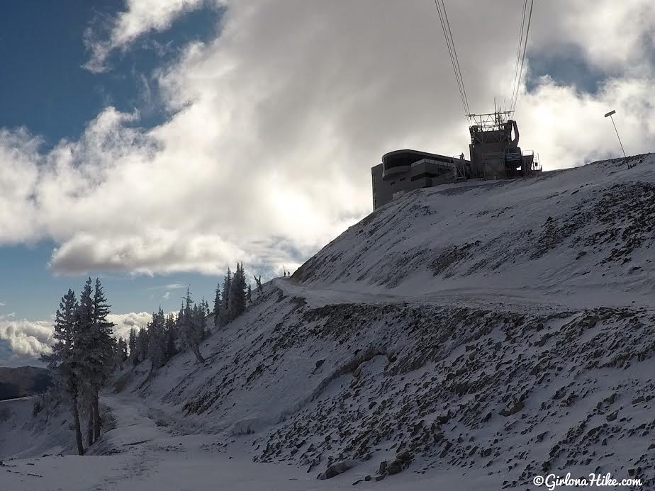 Hiking to Mt. Baldy from the Snowbird Tram