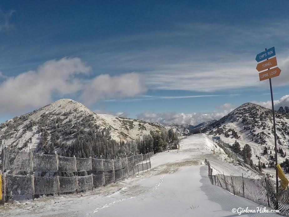 Hiking to Mt. Baldy from the Snowbird Tram