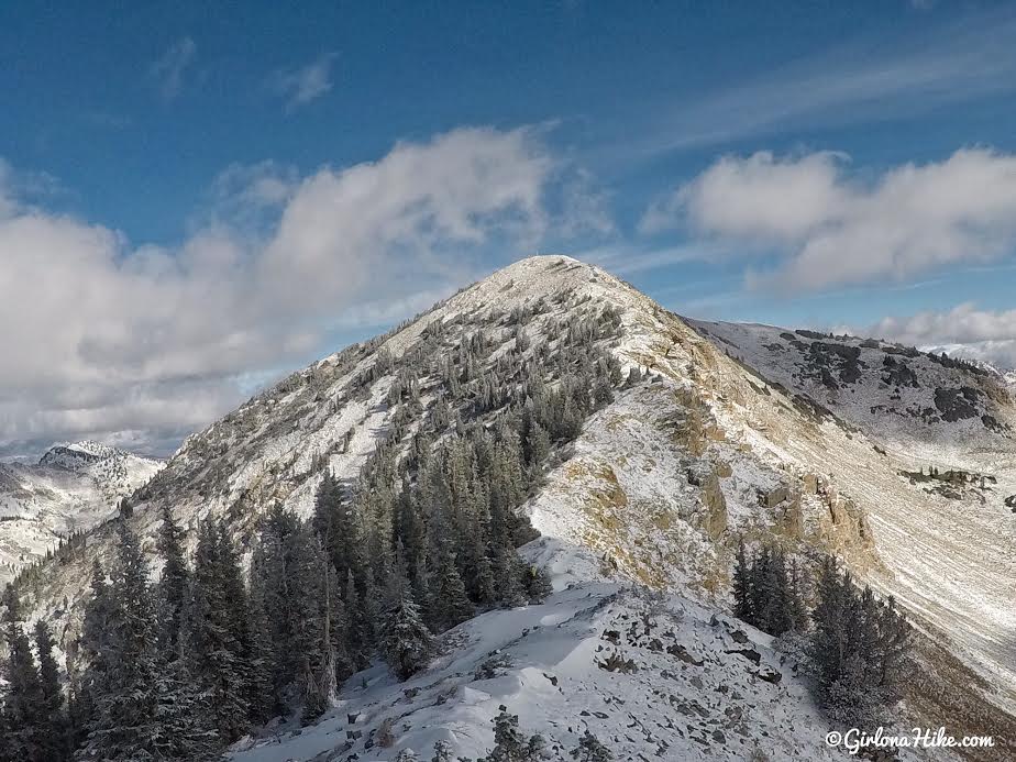 Hiking to Mt. Baldy from the Snowbird Tram