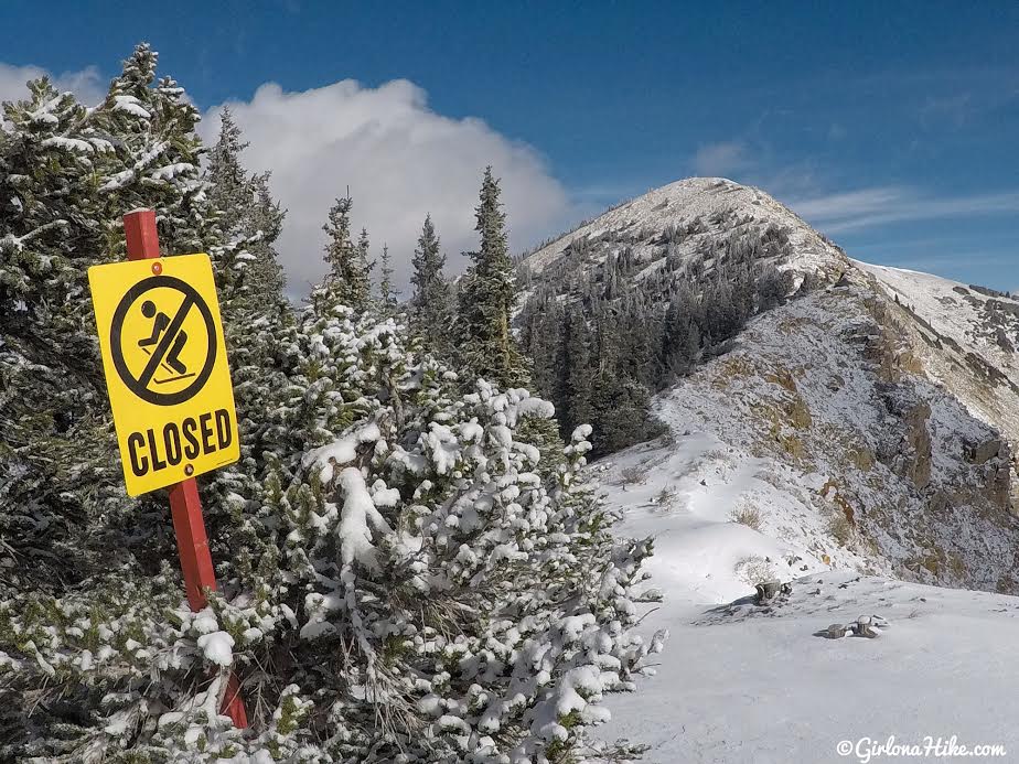 Hiking to Mt. Baldy from the Snowbird Tram