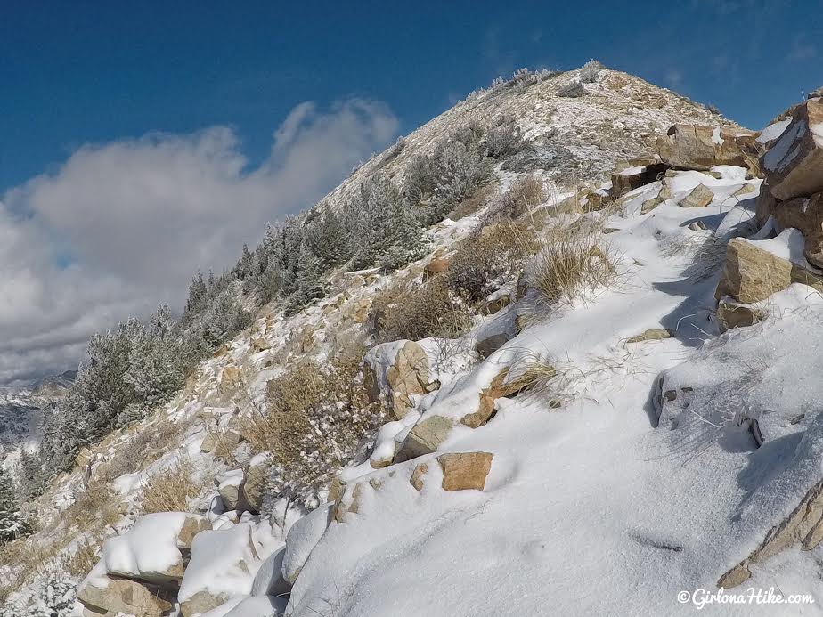 Hiking to Mt. Baldy from the Snowbird Tram