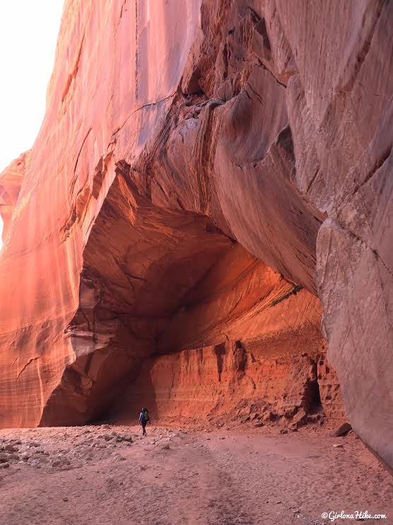 Backpacking Buckskin Gulch - Wire Pass to White House, Backpacking Buckskin Gulch with Dogs