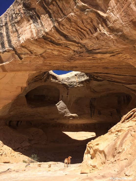 Hiking to Wild Horse Window Arch, San Rafael Swell, Uta